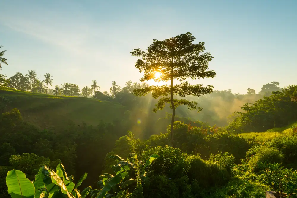 Benefícios de um projeto sustentável: Vantagens para empresas e comunidades